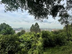 Terra Hill (D5), Apartment #432245821